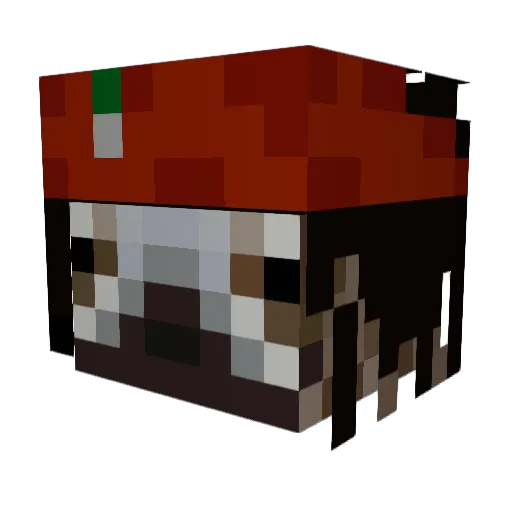 SampieEB Minecraft avatar head, 3D render