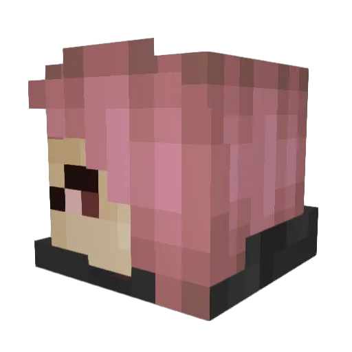 Sample_Text__ Minecraft avatar head, 3D render