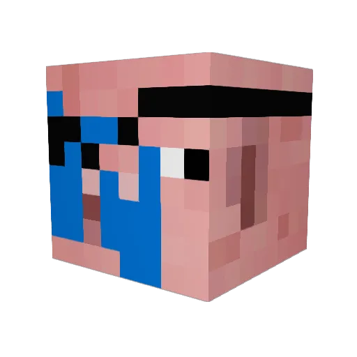 Sampo17 Minecraft avatar head, 3D render