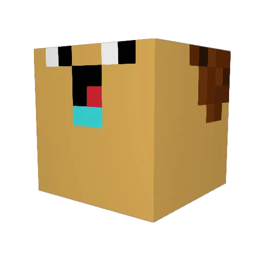 Sampo572 Minecraft avatar head, 3D render
