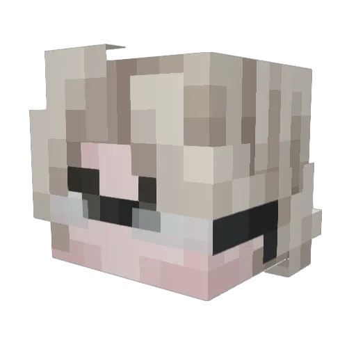 Sams1k_ Minecraft avatar head, 3D render