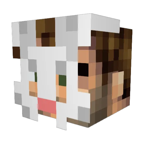 Sams Minecraft avatar head, 3D render