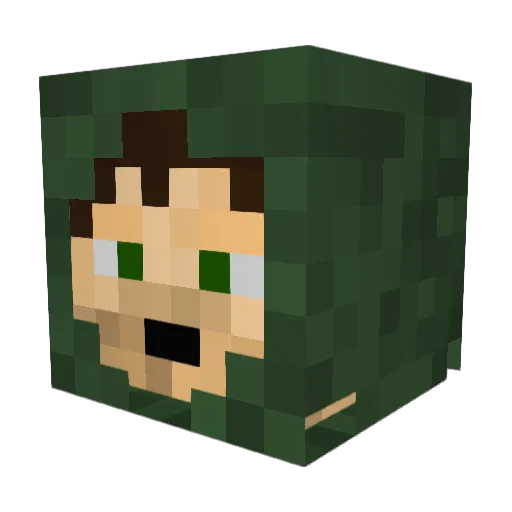 SamsLifeGames Minecraft avatar head, 3D render