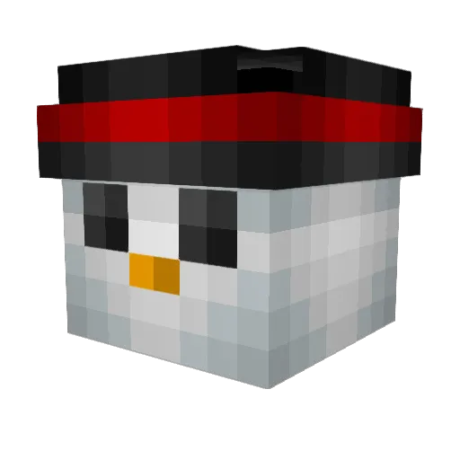 Samsara11 Minecraft avatar head, 3D render