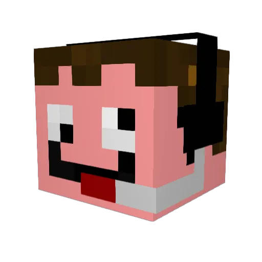 SamselMC Minecraft avatar head, 3D render