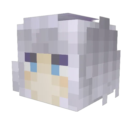 SamsontheSAM Minecraft avatar head, 3D render