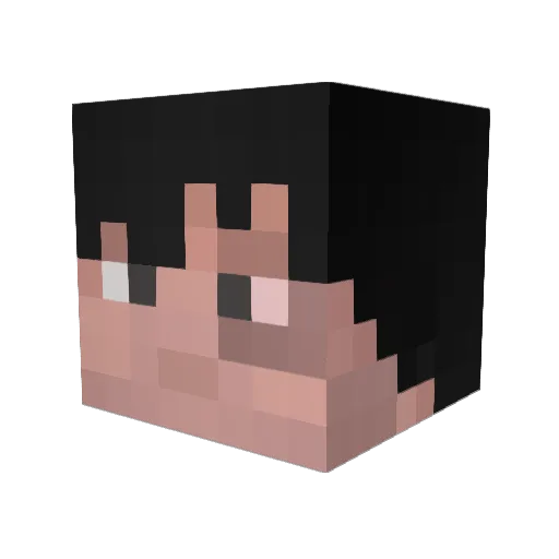 Samspice70 Minecraft avatar head, 3D render