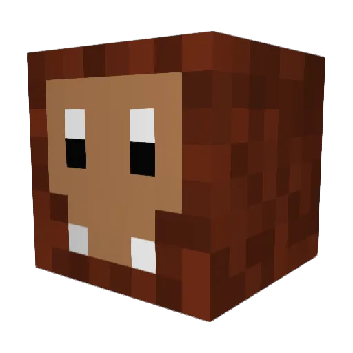 Samsquamch33 Minecraft avatar head, 3D render