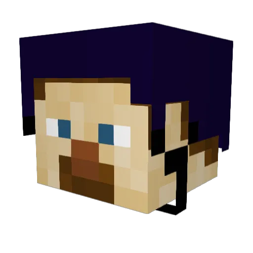 Samster1134 Minecraft avatar head, 3D render