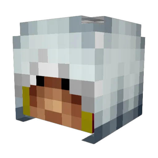 Samster1715 Minecraft avatar head, 3D render