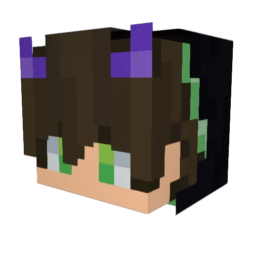 SamsunLee55 Minecraft avatar head, 3D render
