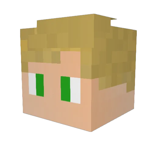 SamsungBOOM Minecraft avatar head, 3D render