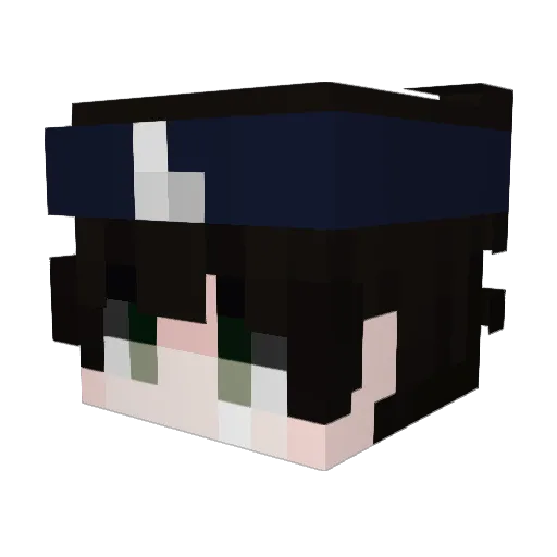 Samtee1 Minecraft avatar head, 3D render