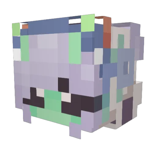 SamtheHam579 Minecraft avatar head, 3D render