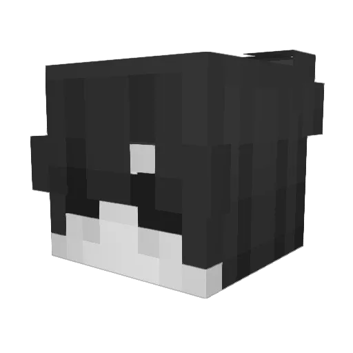Samthebamff Minecraft avatar head, 3D render