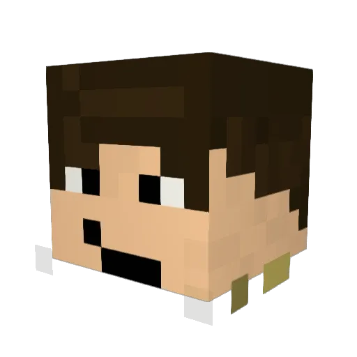 Samtter Minecraft avatar head, 3D render
