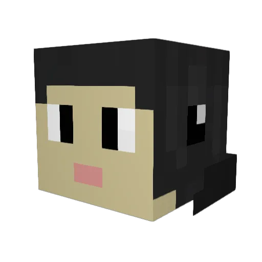 Samu005 Minecraft avatar head, 3D render
