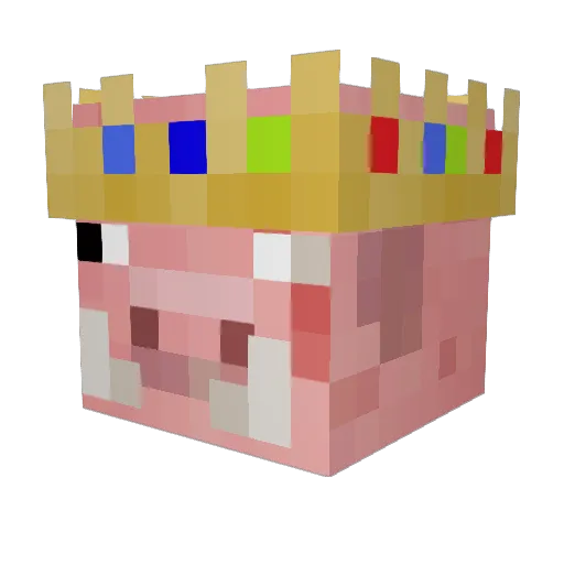 Samu100Sau Minecraft avatar head, 3D render
