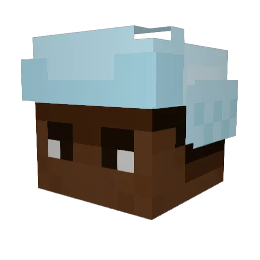 Samu120 Minecraft avatar head, 3D render