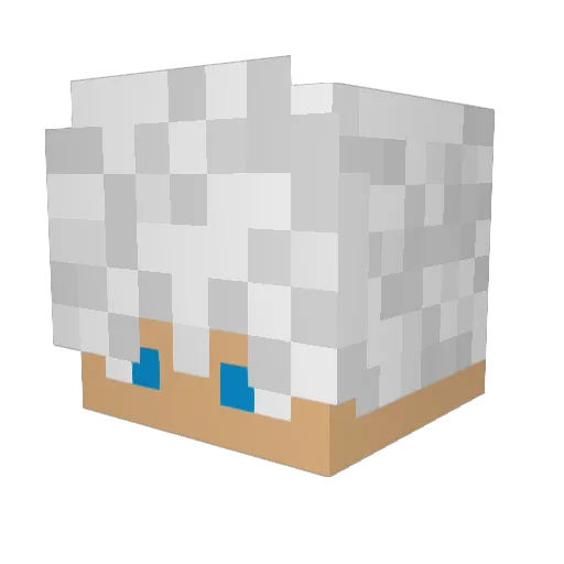 Samu13cps Minecraft avatar head, 3D render