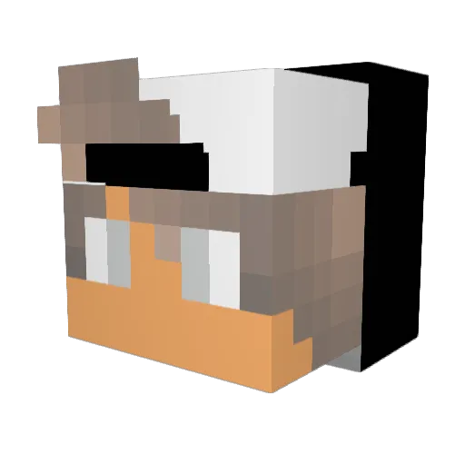Samu2263 Minecraft avatar head, 3D render