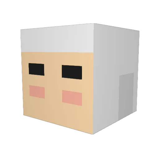 Samucalera Minecraft avatar head, 3D render