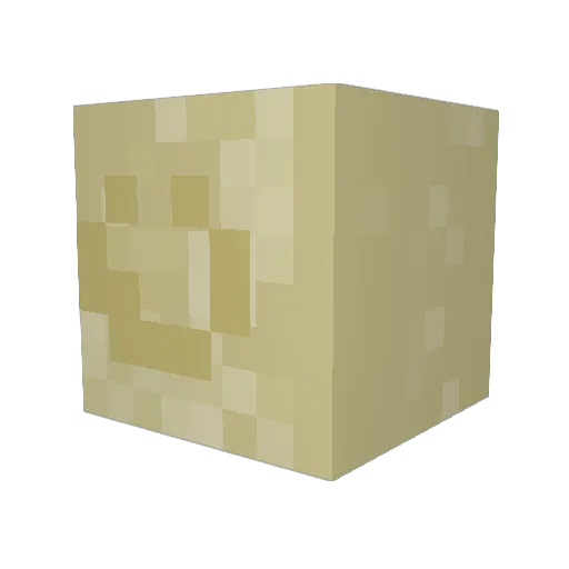 SamueLLLL1 Minecraft avatar head, 3D render