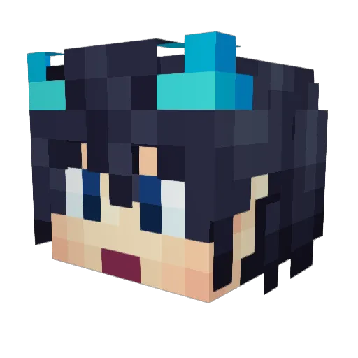 Samuel820_ Minecraft avatar head, 3D render