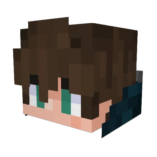 Samuel9000 Minecraft avatar head, 3D render