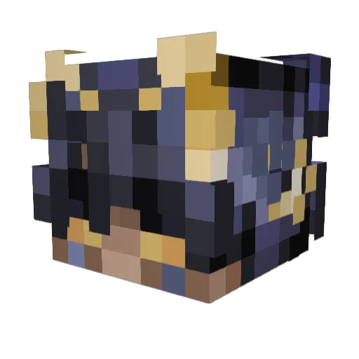 Samuel991 Minecraft avatar head, 3D render