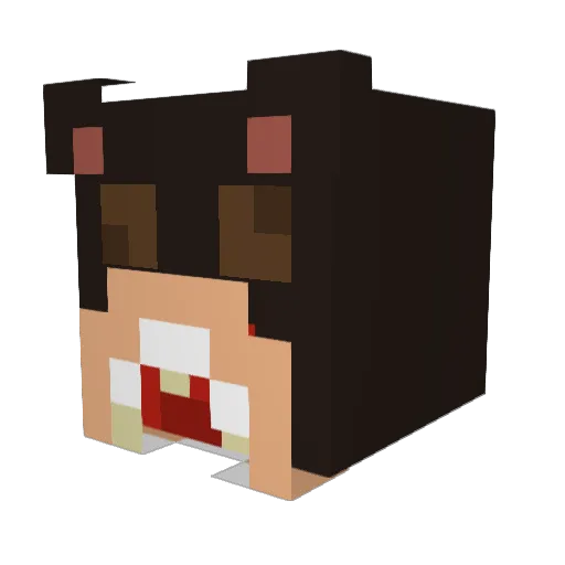 Samuel9M Minecraft avatar head, 3D render