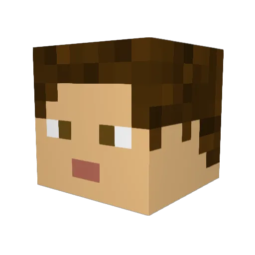 SamuelFD Minecraft avatar head, 3D render