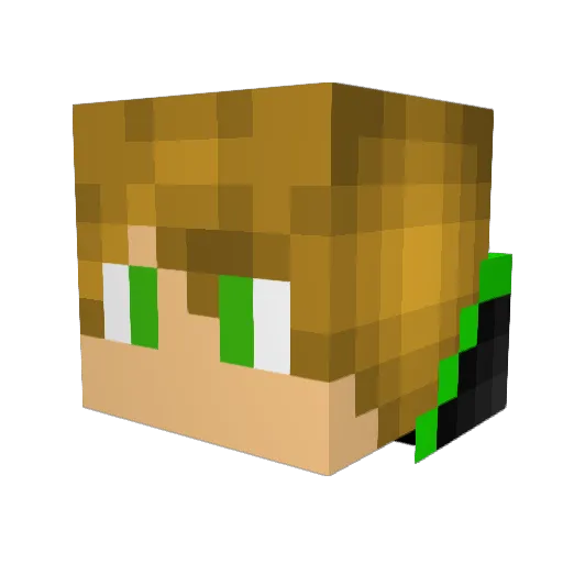 SamuelJamesXYZ Minecraft avatar head, 3D render