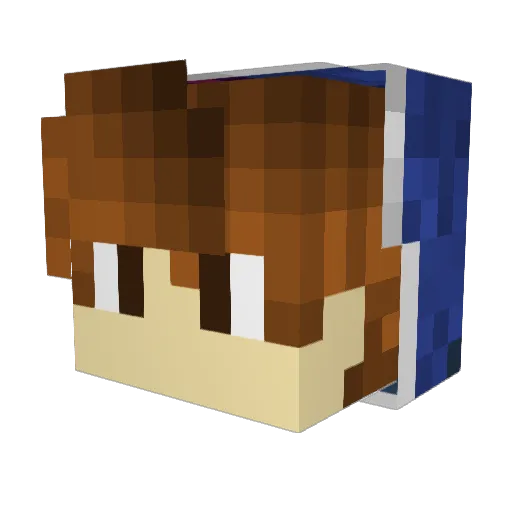 SamuelLfunado Minecraft avatar head, 3D render