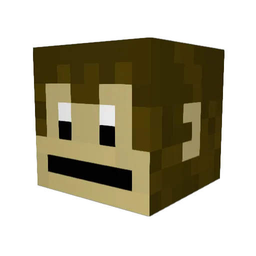 SamuelRyan Minecraft avatar head, 3D render