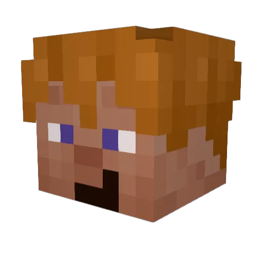 SamuelTheCheesee Minecraft avatar head, 3D render