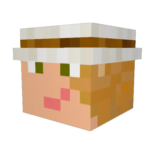 Samuel_1901 Minecraft avatar head, 3D render