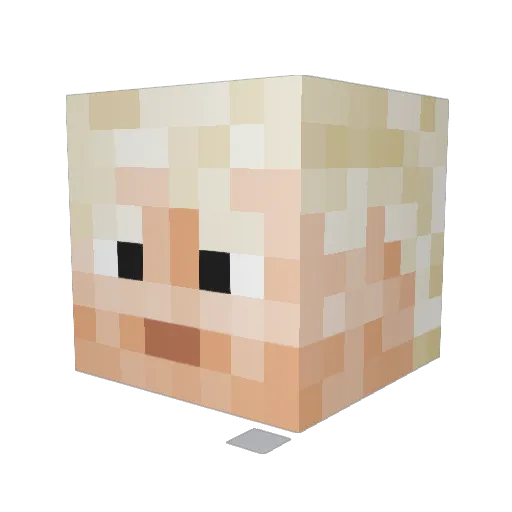 Samuel_Indi Minecraft avatar head, 3D render