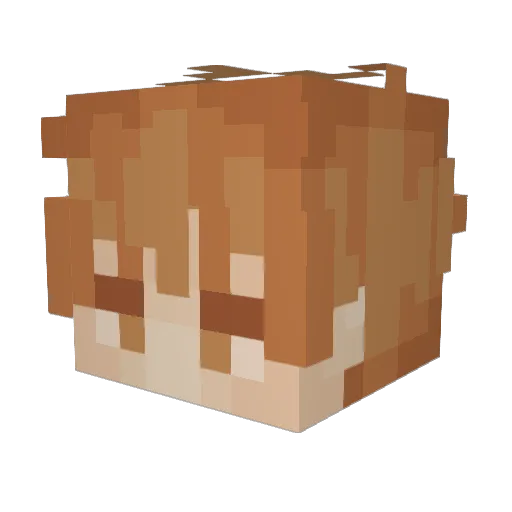 Samuel_Midori Minecraft avatar head, 3D render