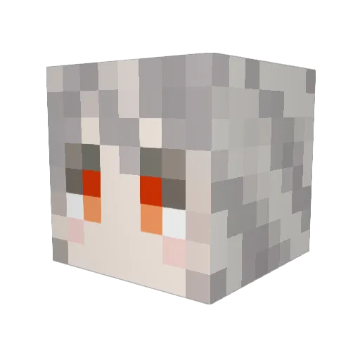 Samuel_T_Rinen Minecraft avatar head, 3D render