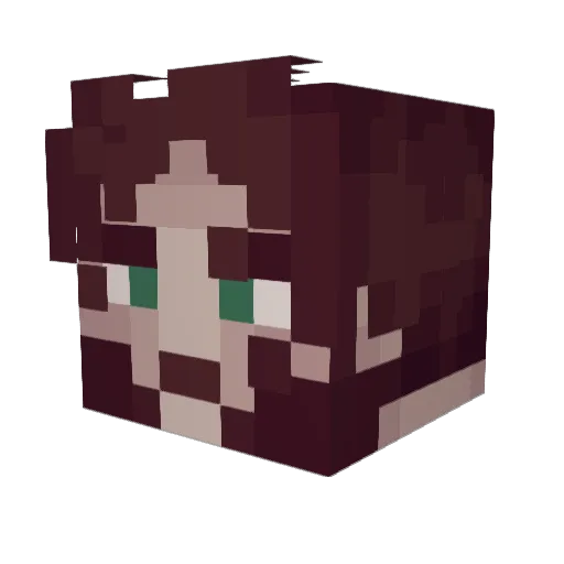 Samuelforce1 Minecraft avatar head, 3D render