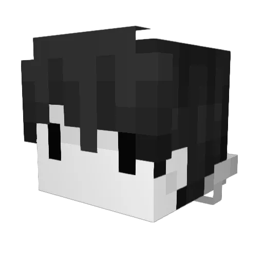 Samuelgsw Minecraft avatar head, 3D render