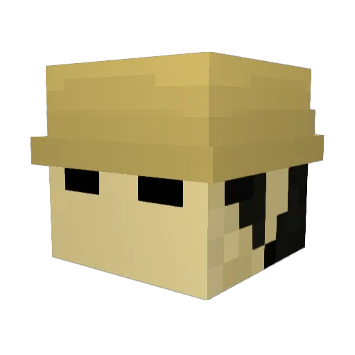 Samuelitus Minecraft avatar head, 3D render