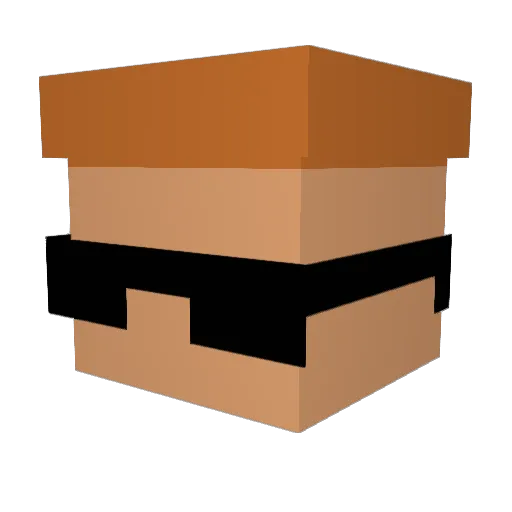 Samuelsan99 Minecraft avatar head, 3D render