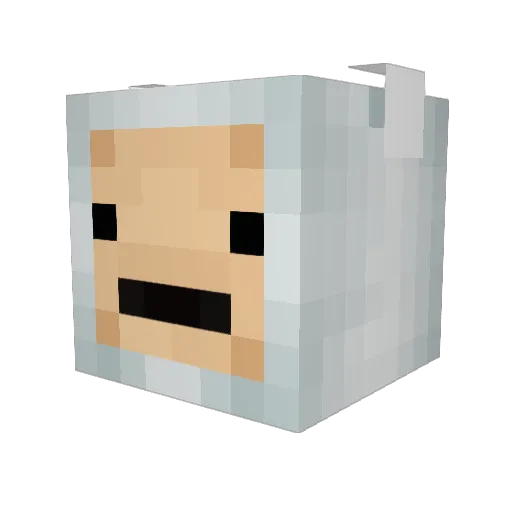 Samuki9 Minecraft avatar head, 3D render