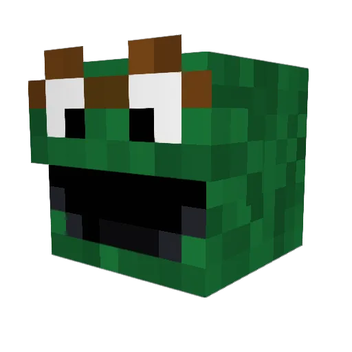 SamulDaCamul_YT Minecraft avatar head, 3D render