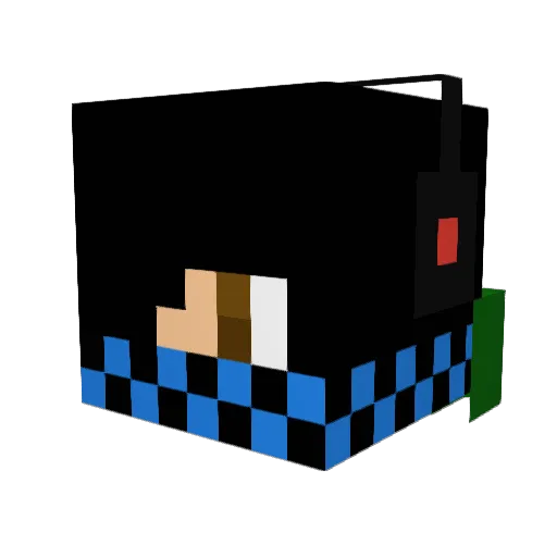 SamuraiSquirtle3 Minecraft avatar head, 3D render
