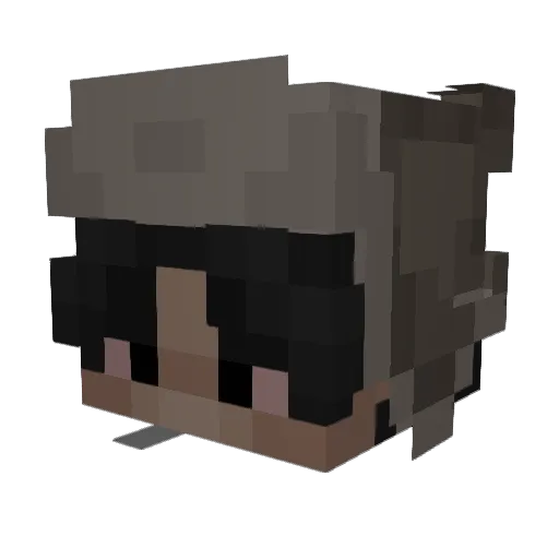 SamuraiX_X Minecraft avatar head, 3D render