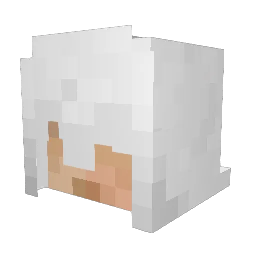 Samurer12 Minecraft avatar head, 3D render