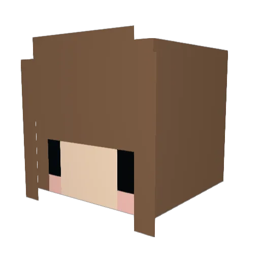 Samus990 Minecraft avatar head, 3D render
